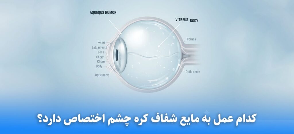 کدام عمل به مایع شفاف کره چشم اختصاص دارد؟