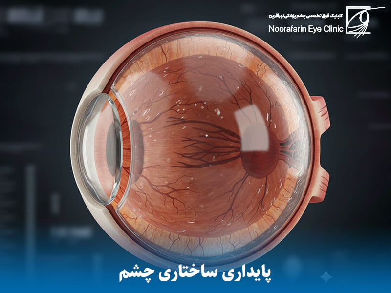 حفظ شکل کروی و پایداری ساختاری چشم